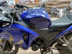 Beetle Bolt Alligator